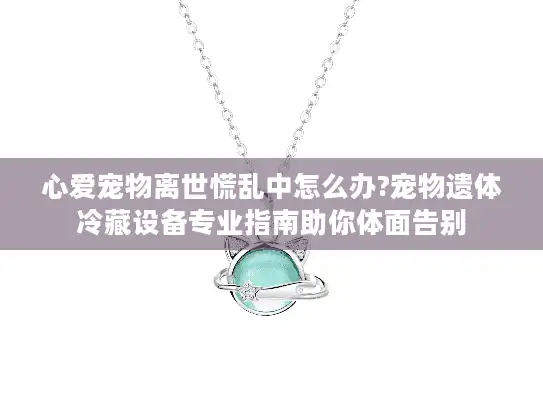 心爱宠物离世慌乱中怎么办?宠物遗体冷藏设备专业指南助你体面告别