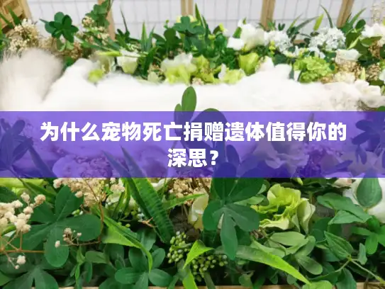 为什么宠物死亡捐赠遗体值得你的深思？