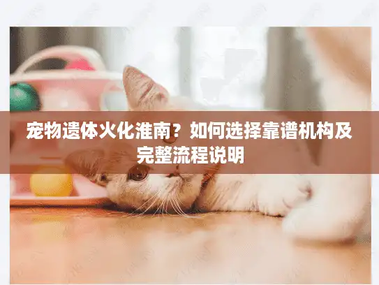 宠物遗体火化淮南？如何选择靠谱机构及完整流程说明