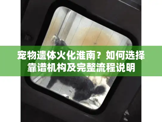 宠物遗体火化淮南？如何选择靠谱机构及完整流程说明