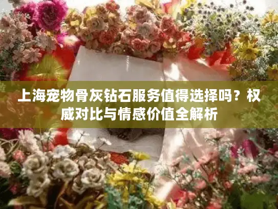 上海宠物骨灰钻石服务值得选择吗？权威对比与情感价值全解析
