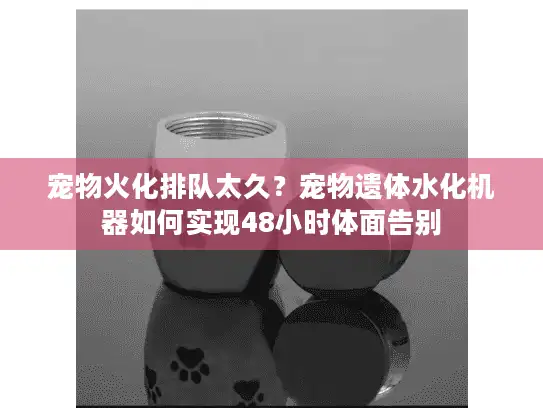宠物火化排队太久？宠物遗体水化机器如何实现48小时体面告别