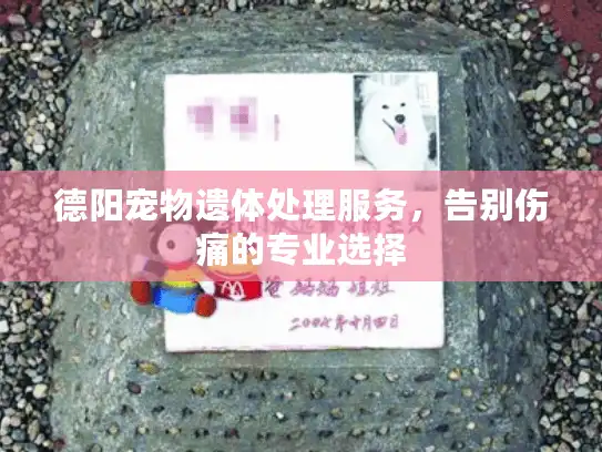 德阳宠物遗体处理服务，告别伤痛的专业选择
