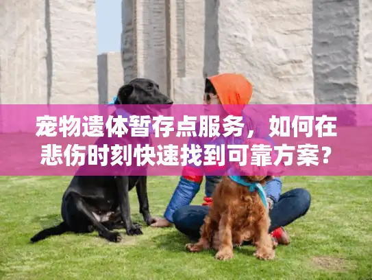 宠物遗体暂存点服务，如何在悲伤时刻快速找到可靠方案？