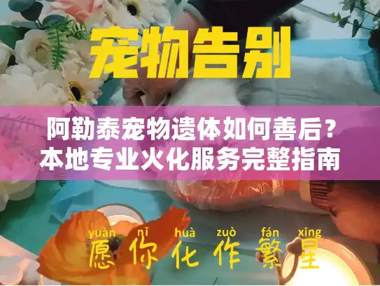 阿勒泰宠物遗体如何善后？本地专业火化服务完整指南