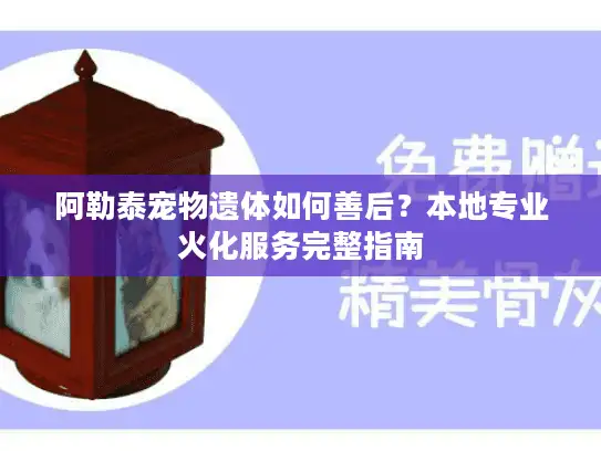 阿勒泰宠物遗体如何善后？本地专业火化服务完整指南