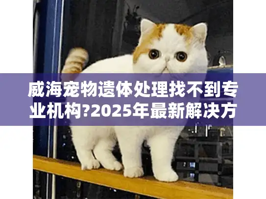 威海宠物遗体处理找不到专业机构?2025年最新解决方案指南