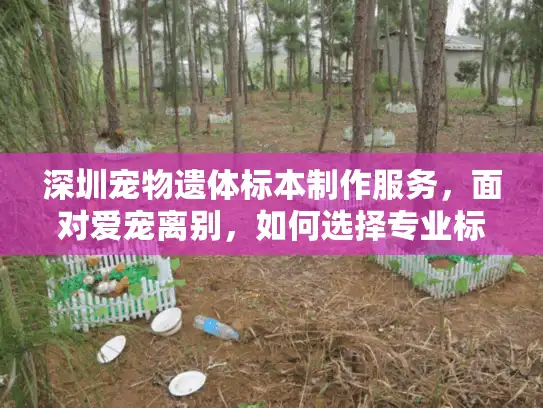 深圳宠物遗体标本制作服务，面对爱宠离别，如何选择专业标本纪念？
