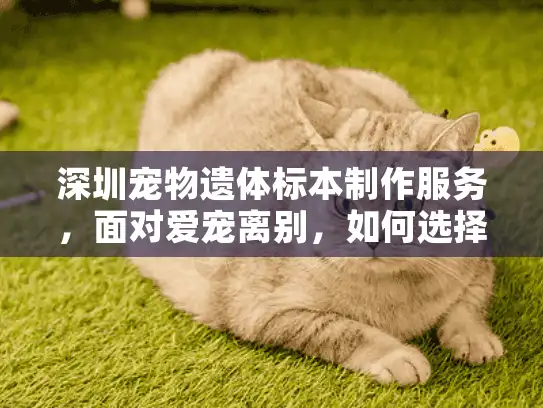 深圳宠物遗体标本制作服务，面对爱宠离别，如何选择专业标本纪念？