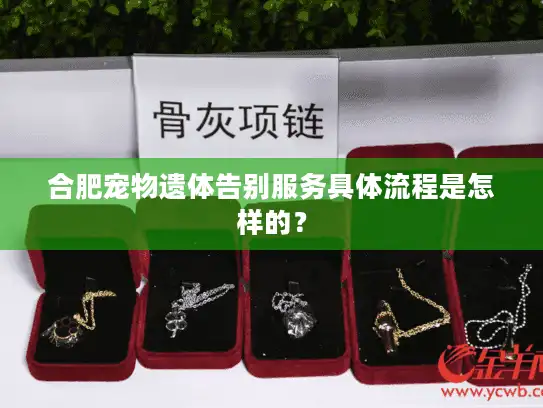 合肥宠物遗体告别服务具体流程是怎样的？