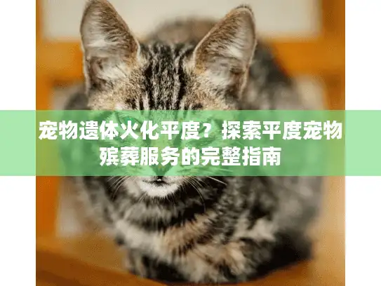 宠物遗体火化平度？探索平度宠物殡葬服务的完整指南