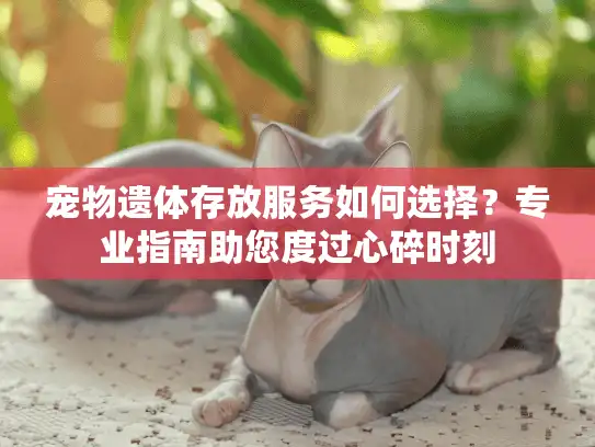 宠物遗体存放服务如何选择？专业指南助您度过心碎时刻