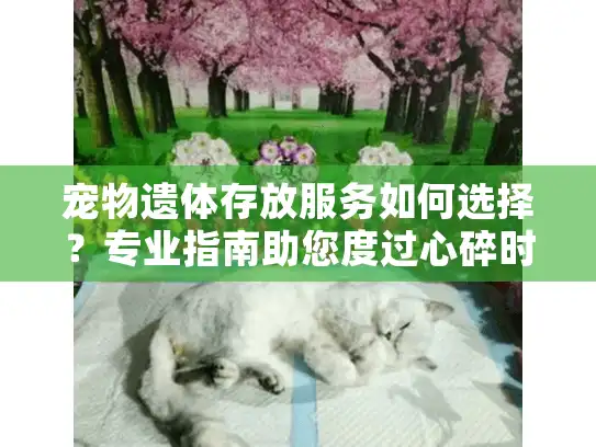 宠物遗体存放服务如何选择？专业指南助您度过心碎时刻
