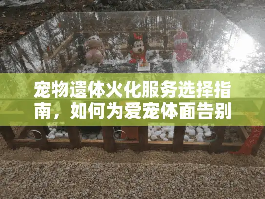 宠物遗体火化服务选择指南，如何为爱宠体面告别？