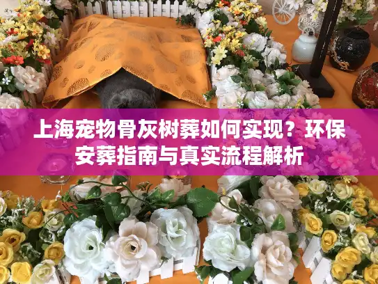 上海宠物骨灰树葬如何实现？环保安葬指南与真实流程解析