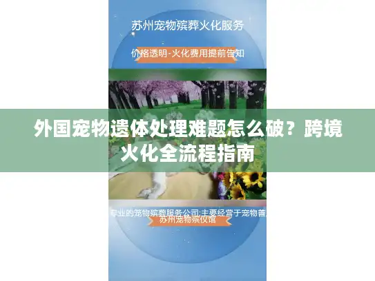 外国宠物遗体处理难题怎么破？跨境火化全流程指南