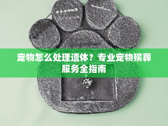 宠物怎么处理遗体？专业宠物殡葬服务全指南