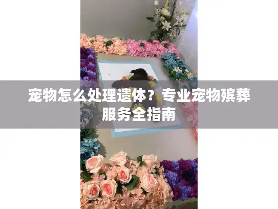 宠物怎么处理遗体？专业宠物殡葬服务全指南