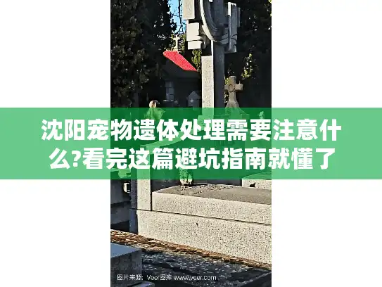沈阳宠物遗体处理需要注意什么?看完这篇避坑指南就懂了