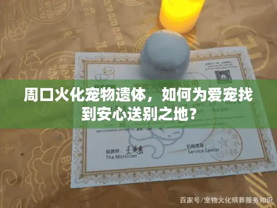 周口火化宠物遗体，如何为爱宠找到安心送别之地？
