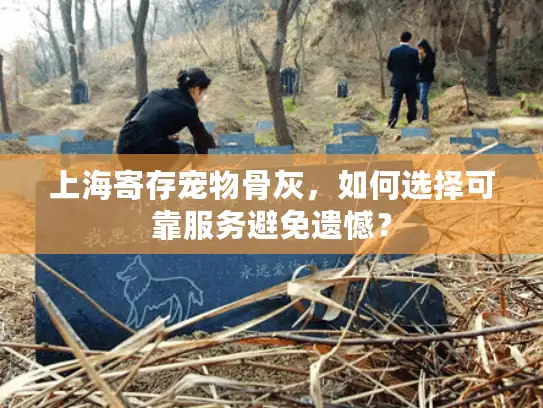 上海寄存宠物骨灰，如何选择可靠服务避免遗憾？
