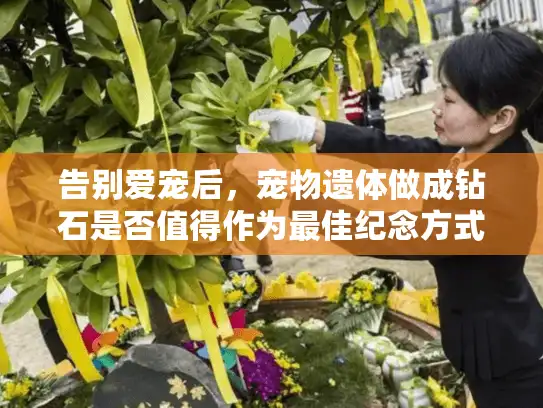 告别爱宠后，宠物遗体做成钻石是否值得作为最佳纪念方式？