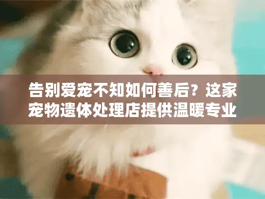 告别爱宠不知如何善后？这家宠物遗体处理店提供温暖专业全程指导