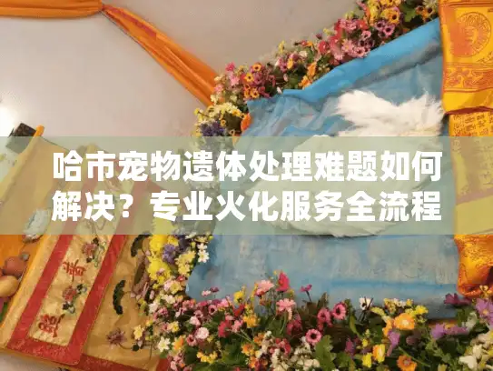 哈市宠物遗体处理难题如何解决？专业火化服务全流程指南