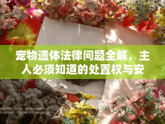 宠物遗体法律问题全解，主人必须知道的处置权与安葬限制