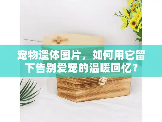 宠物遗体图片，如何用它留下告别爱宠的温暖回忆？