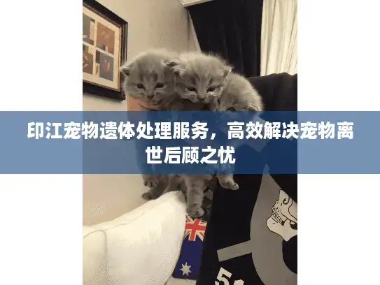 印江宠物遗体处理服务，高效解决宠物离世后顾之忧