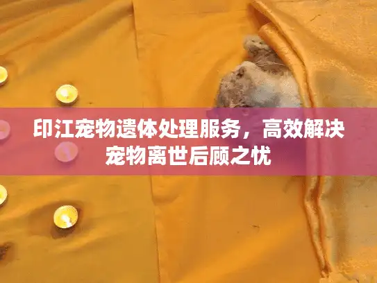 印江宠物遗体处理服务，高效解决宠物离世后顾之忧