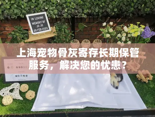 上海宠物骨灰寄存长期保管服务，解决您的忧患？