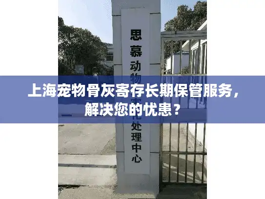 上海宠物骨灰寄存长期保管服务，解决您的忧患？