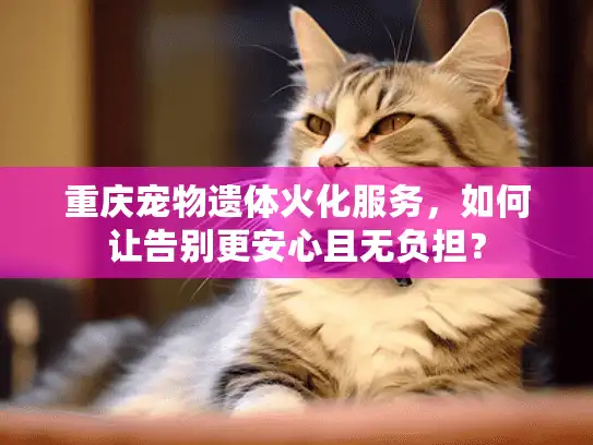 重庆宠物遗体火化服务，如何让告别更安心且无负担？