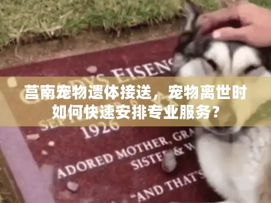 莒南宠物遗体接送，宠物离世时如何快速安排专业服务？