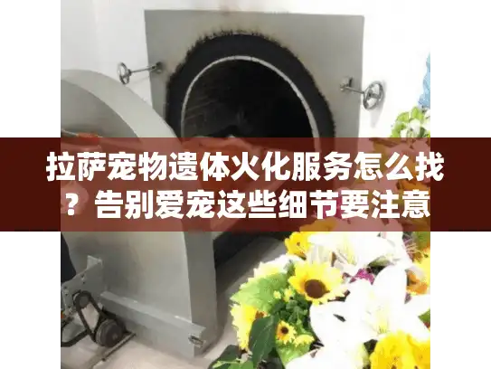 拉萨宠物遗体火化服务怎么找？告别爱宠这些细节要注意