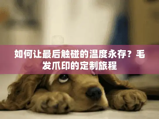 如何让最后触碰的温度永存？毛发爪印的定制旅程