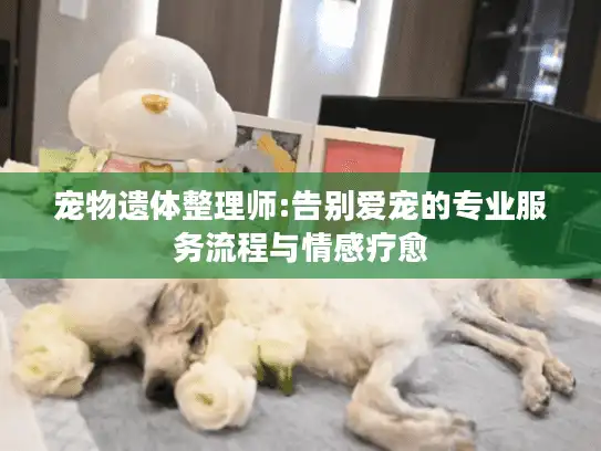 宠物遗体整理师:告别爱宠的专业服务流程与情感疗愈