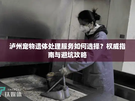 泸州宠物遗体处理服务如何选择？权威指南与避坑攻略