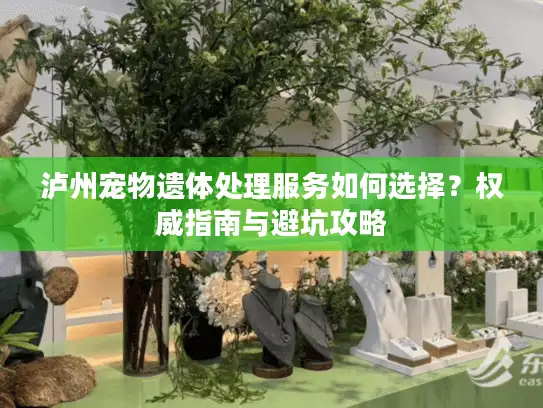 泸州宠物遗体处理服务如何选择？权威指南与避坑攻略