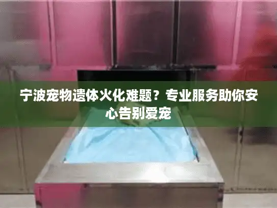 宁波宠物遗体火化难题？专业服务助你安心告别爱宠