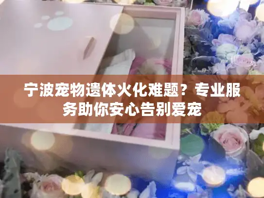 宁波宠物遗体火化难题？专业服务助你安心告别爱宠