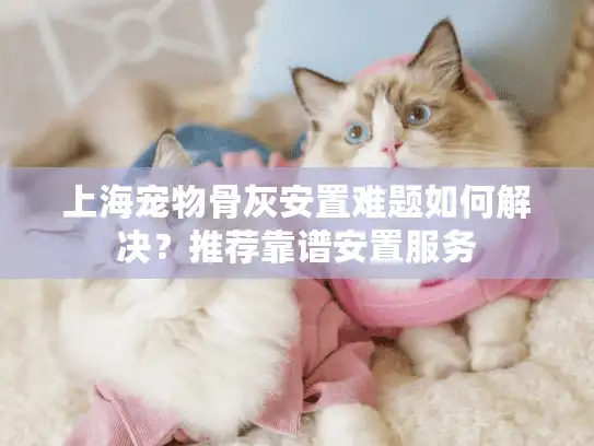 上海宠物骨灰安置难题如何解决？推荐靠谱安置服务