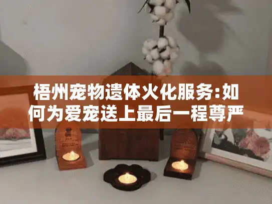 梧州宠物遗体火化服务:如何为爱宠送上最后一程尊严告别?