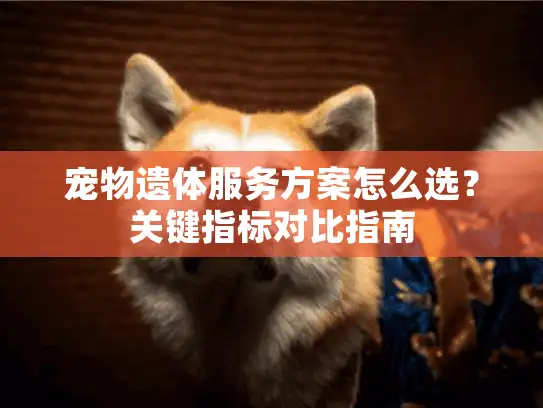 宠物遗体服务方案怎么选？关键指标对比指南