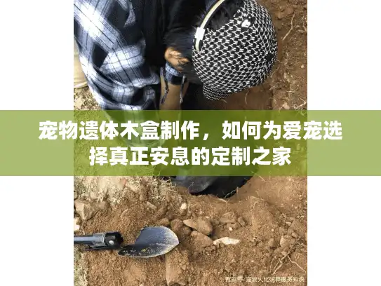 宠物遗体木盒制作，如何为爱宠选择真正安息的定制之家