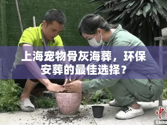 上海宠物骨灰海葬，环保安葬的最佳选择？