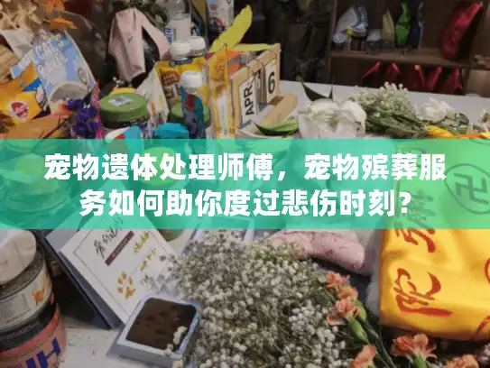 宠物遗体处理师傅，宠物殡葬服务如何助你度过悲伤时刻？