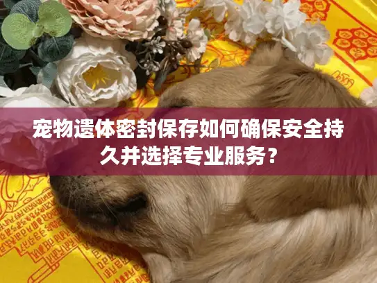 宠物遗体密封保存如何确保安全持久并选择专业服务？